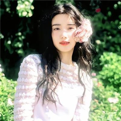 狐狸捕手